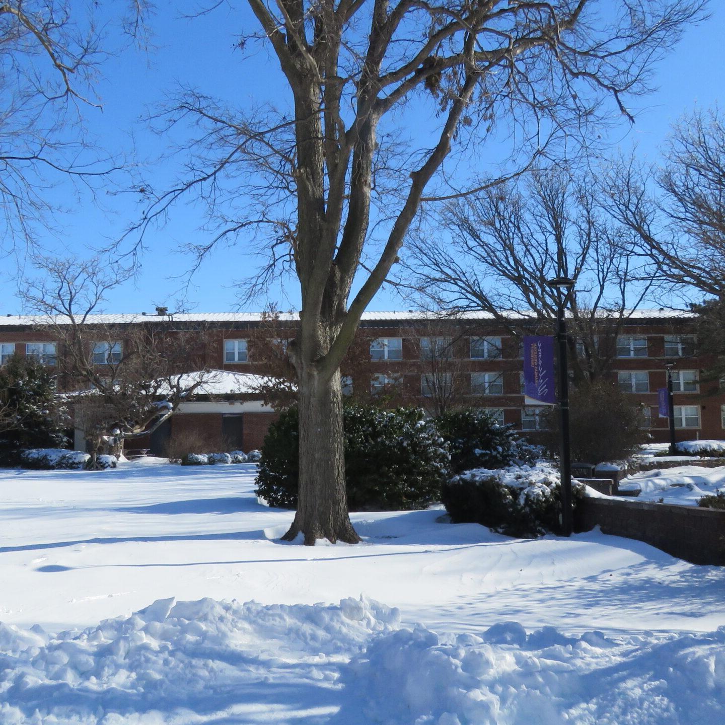 Snowy campus